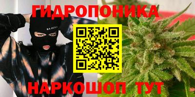 прущие грибы Кунгур