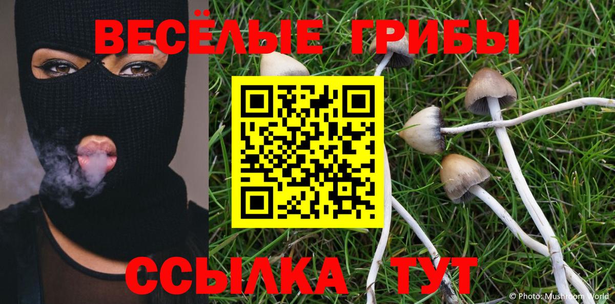 Галлюциногенные грибы Cubensis Златоуст