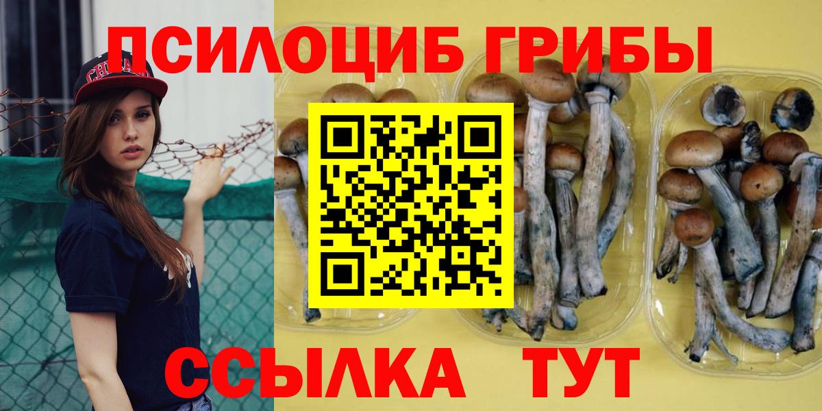 Псилоцибиновые грибы Psilocybe  Псилоцибиновые грибы Cubensis  Златоуст  Вход с VPN 